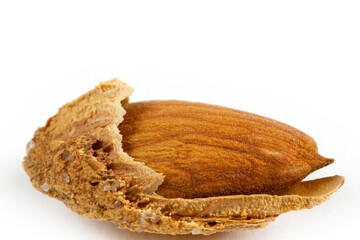 roasted, shelled and salted almonds