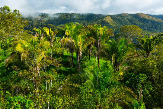 Boruca (also known as the Brunca or the Brunka) indigenous people, Costa Rica, Central America, America