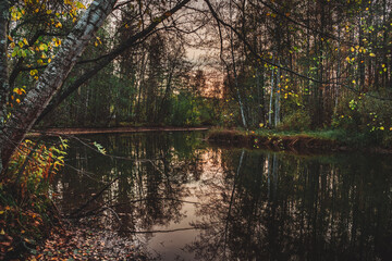 autumn in the forest of Asikkala, Finland 