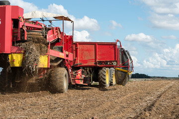 Fototapeta premium Engin agricole moderne dans un champ de pommes de terre