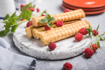 Traditional Russian dessert. Homemade wafer cones with cream of sweet boiled condensed milk