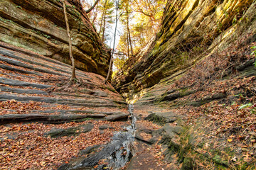 Naklejka premium Starved Rock State Park view in Illinois of USA