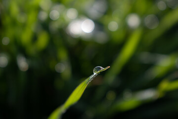 gota de agua