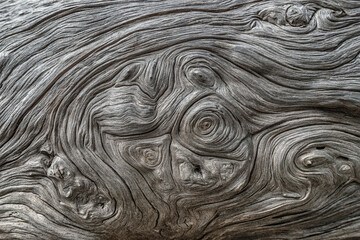 Full-screen texture of the twisted fibrous trunk of a dead juniper tree