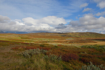 	
Auf der Wildnisstraße (schwedisch Vildmarksvägen) entlang der Schwedisch-norwegischen Grenze	
