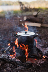 campfire and dishes in the campsite