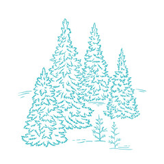 Fir tree forest sketch. Blue conifer spruce. New year fir-tree postcard background. Hand drawn vector. Contour line. Winter holiday.