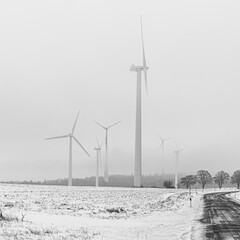 wind turbines in snow