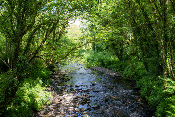 Fototapeta na wymiar Quiet summer stream near the Top of the Rock Pod Páirc and Walking Centre in Drimoleague west Cork Ireland 