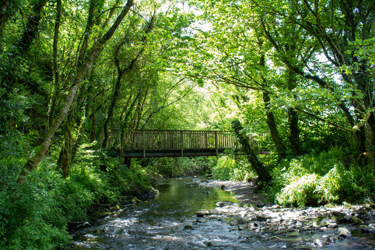 Wooden bridge over beautiful river in West Cork,  Top of the Rock Pod Páirc and Walking Centre near Drimoleague. 