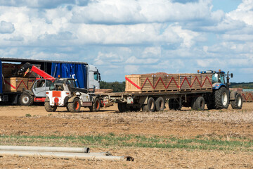 Fototapeta premium Chargement camion, transport de pommes de terre