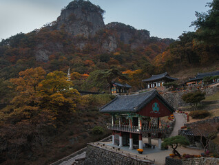 Buddhist Temple during Peak Autumn Colors at Mt. Cheongryang Provincial Park (South Korea)