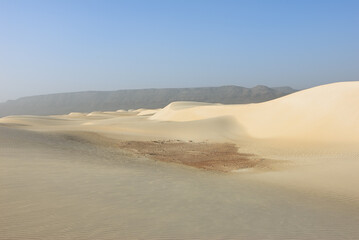Aomak desert, Socotra island, Yemen