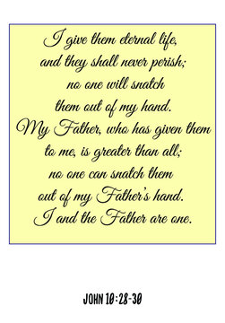 I Give Them Eternal Life, And They Shall Never Perish; No One Will Snatch Them Out Of My Hand. Bible Verse Quote