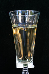 Wasp swims in a glass of champagne on a black background. Drink with wasp in a glass