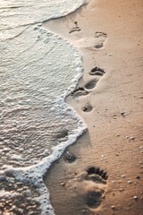 Beach at sunrise, Black Sea
