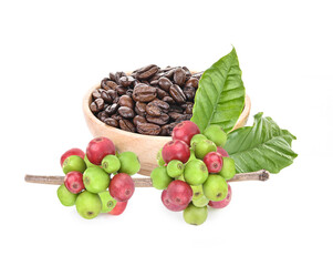 coffee beans  isolated on white background