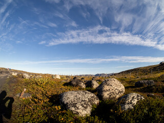 cold and beautiful tundra. Teriberka, Murmansk region, Russia. A lot of berries, a riot of colors. rocks and bright plants. moss . Landscape. Sunny weather, blue sky, wide-angle lens. lakes