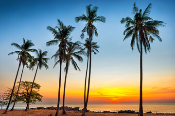 Naklejka na ściany i meble Palm trees on sunset sea coast as paradise holiday summer nature background