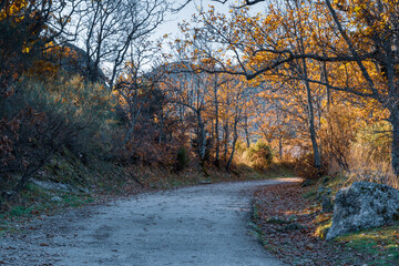 Right bend into fall