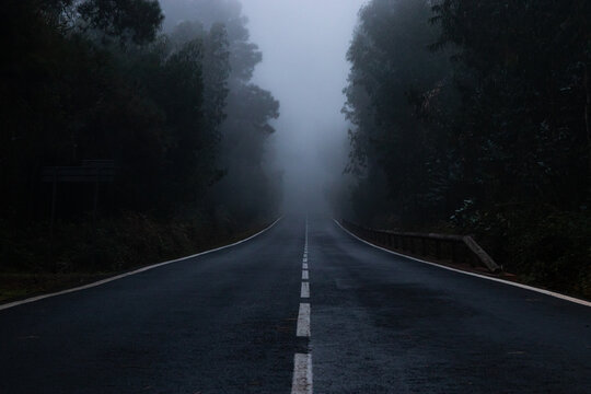Empty road covered in fog, Tenerife
