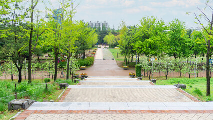 Forest park scenery in Seoul, South Korea