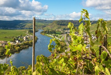 Mosel bei Klüsserath