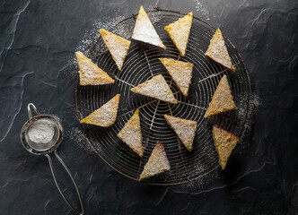 Top down view of a cooking rack filled with lemon triangles topped with powdered sugar.