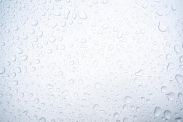 Abstract water droplets isolated background with white background. Various shapes, small and large