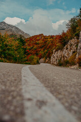 Sunny autumn winding road in the forest.Aerial view of a winding road in the mountains in autumn season
