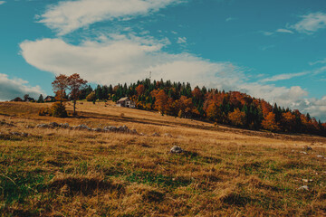 Fototapeta premium rural area of carpathian mountains in autumn. wonderful panorama of Bosnia mountains in dappled light observed from village. agricultural fields on rolling hills near the spruce forest