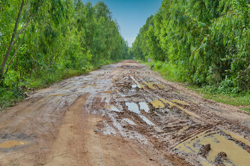 Puddle and mud country road