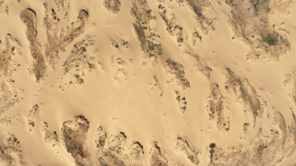 Aerial View of the Textures and Patterns of the Desert Sands. Beautiful landscape . Desert and green bushes