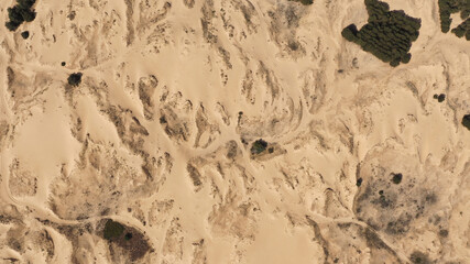 Aerial View of the Textures and Patterns of the Desert Sands. Beautiful landscape . Desert and green bushes