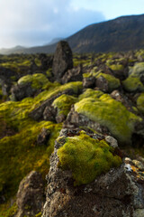 Lava fields, Reykjanes Peninsula, Southern Iceland, Iceland, Europe