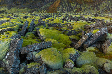 Lava fields, Reykjanes Peninsula, Southern Iceland, Iceland, Europe