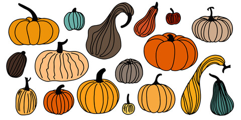 Set of colored black thin line pumpkins on a white background. Thanksgiving autumn design background. Vector illustration