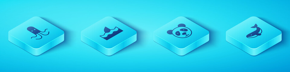 Set Isometric Octopus, Shark fin in ocean wave, Whale and Cute panda face icon. Vector. © Vadim