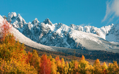 mountains, rocks, mountain range, water, lake, European, Alps, Switzerland, snow and flowers,...