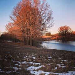 Winter Lake Landscape