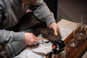 Set for a tea ceremony close-up. A man using a tea needle breaks a tea cake of strong old ripe tea to enjoy the aroma