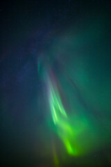 Fototapeta na wymiar Northern Lights, Stokksnes Peninsula, Hofn, Southern Iceland, Iceland, Europe