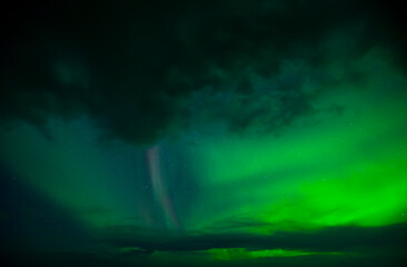 Obraz na płótnie Canvas Northern Lights, Southern Iceland, Iceland, Europe