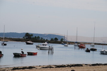 Paysage du Cap-Ferret - Gironde FRANCE
