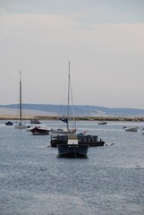 Paysage du Cap-Ferret - Gironde FRANCE