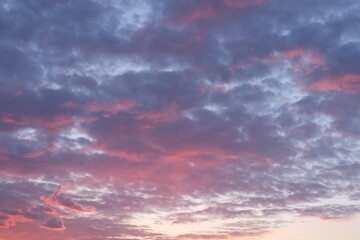 Fototapeta na wymiar The blue sky.Pink and white clouds indicate pure and freshing. Sunset clouds.