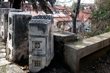 abandoned courtyard of the Antalya Museum
