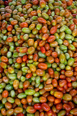 freshly harvested cherry tomatoes from the organic garden, close up with raindrops