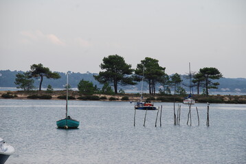 Paysage du Cap-Ferret - Gironde FRANCE