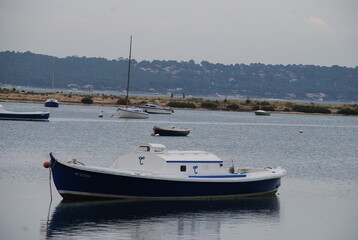 Paysage du Cap-Ferret - Gironde FRANCE